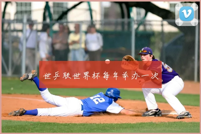 世乒联世界杯每年举办一次