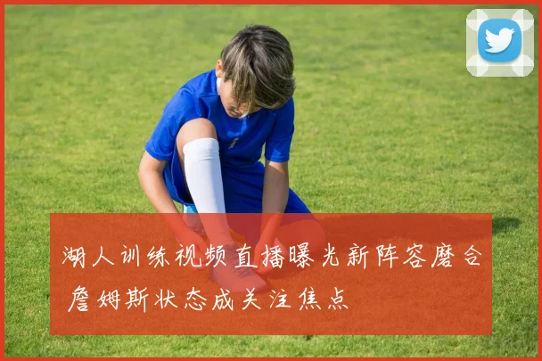 湖人训练视频直播曝光新阵容磨合 詹姆斯状态成关注焦点