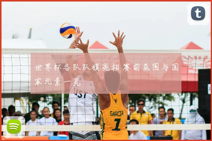 世界杯各队队旗亮相 赛前氛围与国家元素一览